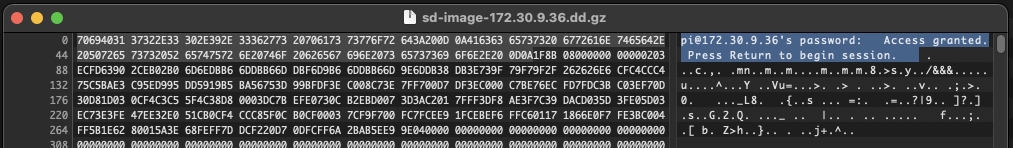 Hex editor